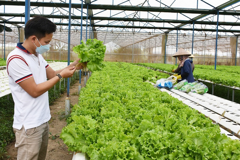 Cơ quan quản lý kịp thời nắm bắt khó khăn trong sản xuất kinh doanh để tháo gỡ sẽ giúp mối liên kết giữa HTX và doanh nghiệp thêm bền chặt.