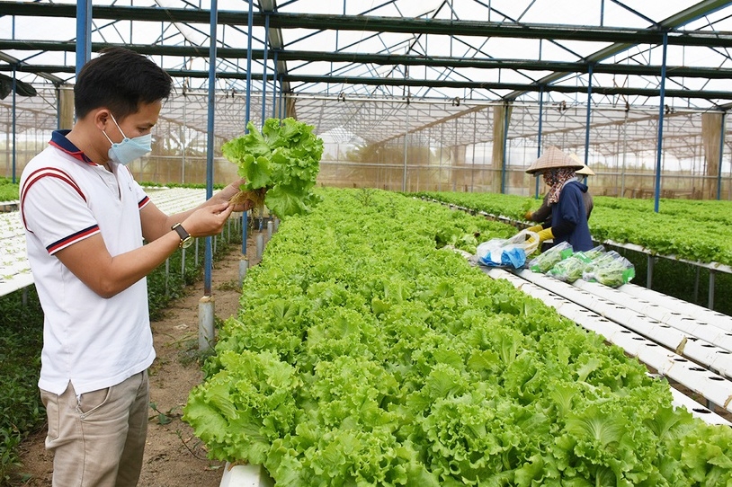 Cơ quan quản lý kịp thời nắm bắt khó khăn trong sản xuất kinh doanh để tháo gỡ sẽ giúp mối liên kết giữa HTX và doanh nghiệp thêm bền chặt.