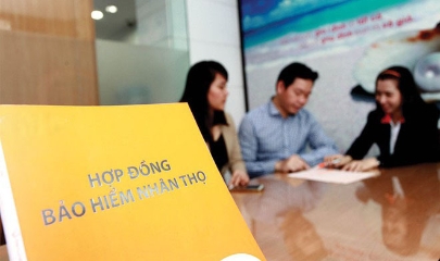 VnBusiness