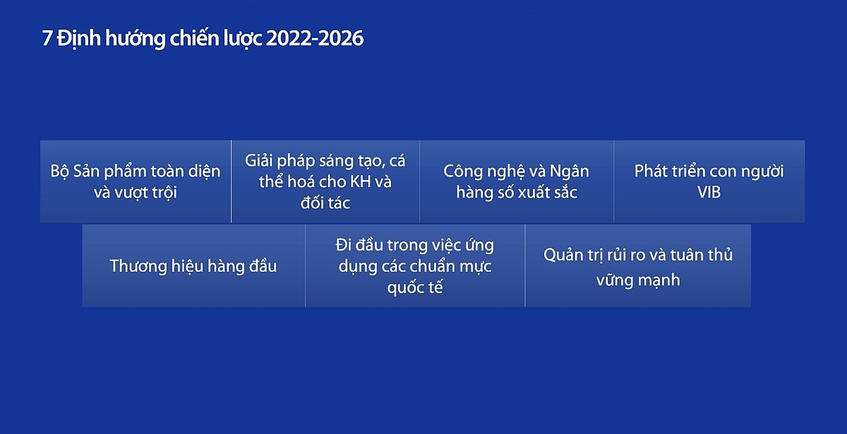 Các định hướng chiến lược của VIB.
