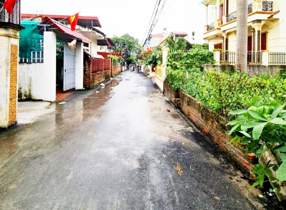 Nhà đầu tư cần cân nhắc kỹ rủi ro thanh khoản, dòng tiền khi mua đất ăn theo quy hoạch tại Đông Anh, Gia Lâm.