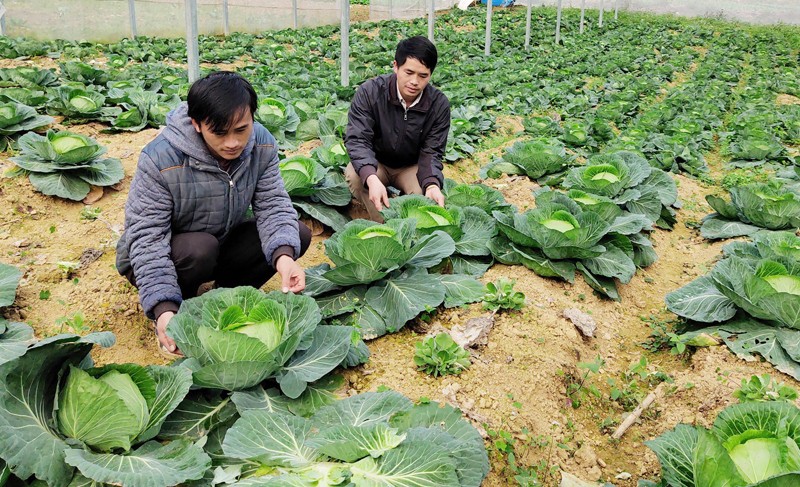 Diện mạo kinh tế xã hội tại Si Ma Cai đang thay đổi từng ngày &lpar;Ảnh: TL&rpar;.