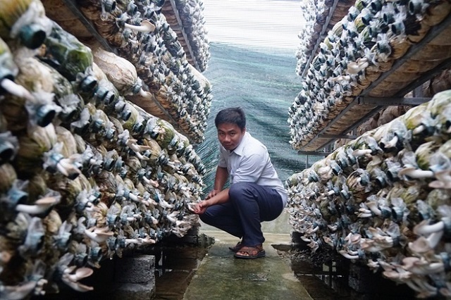 Kinh tế HTX phát triển đúng hướng sẽ là động lực mạnh thúc đẩy tiến trình xây dựng NTM.