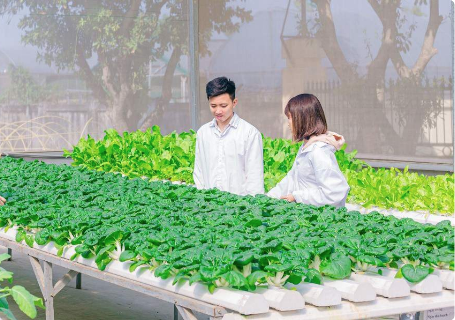 Các doanh nghiệp nói chung và đặc biệt các HTX vẫn đang thiếu vốn trầm trọng.