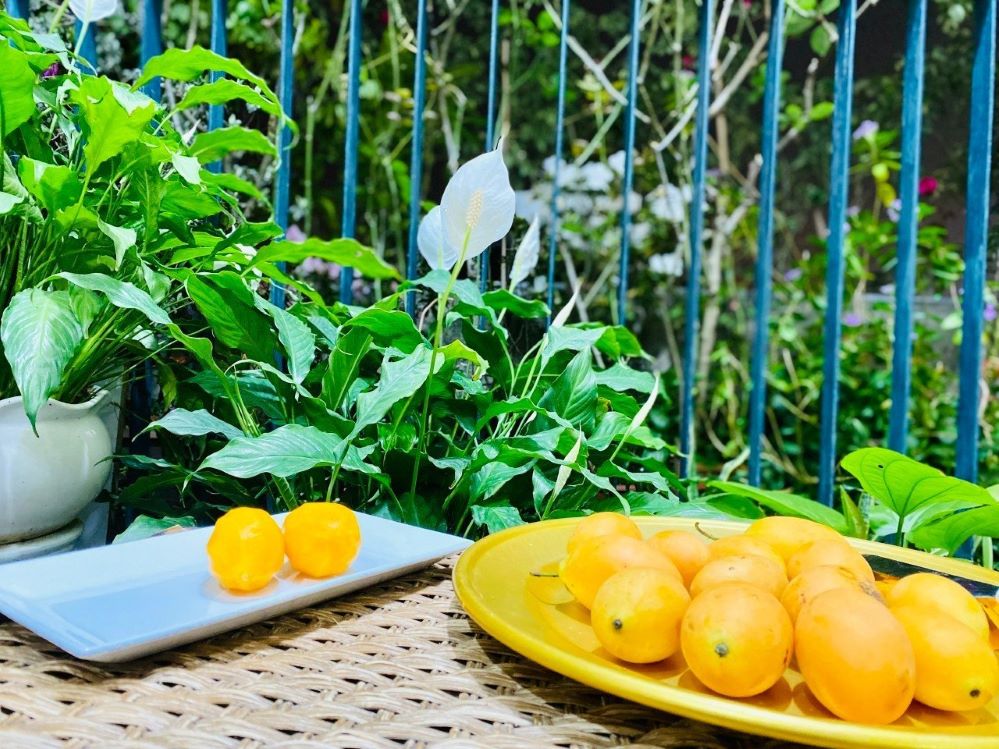 Thanh trà Thái Lan có giá dao động 185.000 - 200.000 đồng/kg.