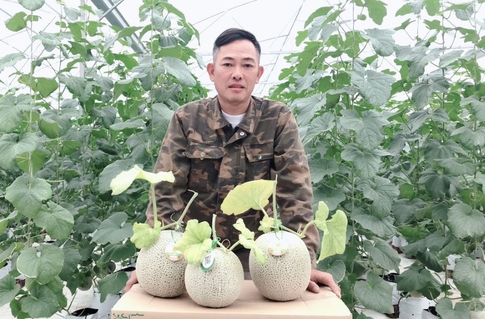 HTX giải quyết việc làm, từng bước ổn định cuộc sống thành viên.