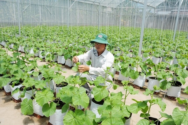 HTX nâng cao giá trị kinh tế giúp xóa đói, giảm nghèo cho thành viên và người lao động.