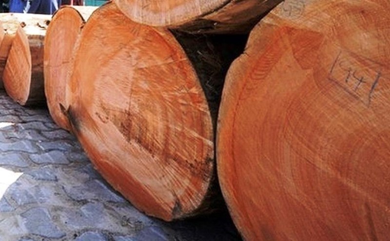 Lượng gỗ nhập khẩu từ các thị trường rủi ro chiếm 40% tổng cung gỗ nguyên liệu nhập khẩu vào Việt Nam.