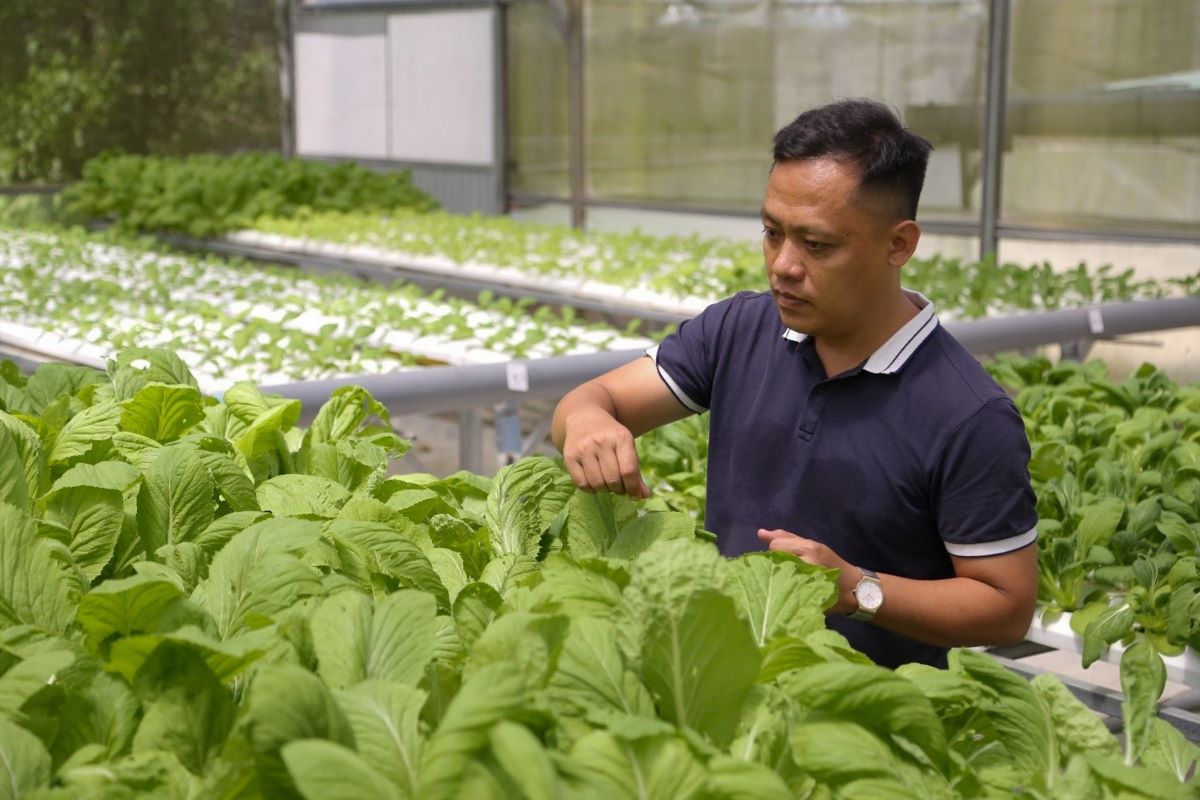 HTX cần người đồng hành để hạn chế thất bại trong khởi nghiệp đổi mới sáng tạo.