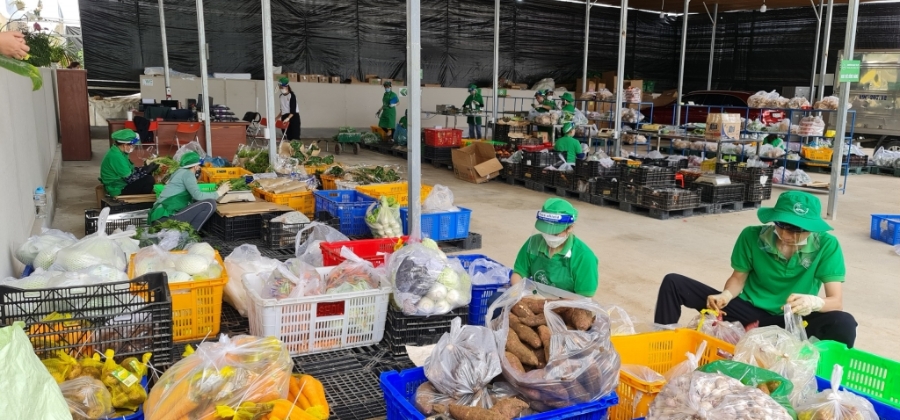 Với việc ứng dụng quy trình khép kín từ sản xuất giống cấy mô đến tổ chức liên kết sản xuất, sơ chế, chế biến và tiêu thụ trong nước, xuất khẩu, HTX Sunfood Đà Lạt đã đảm bảo mức lợi nhuận khá hàng năm cho người nông dân.