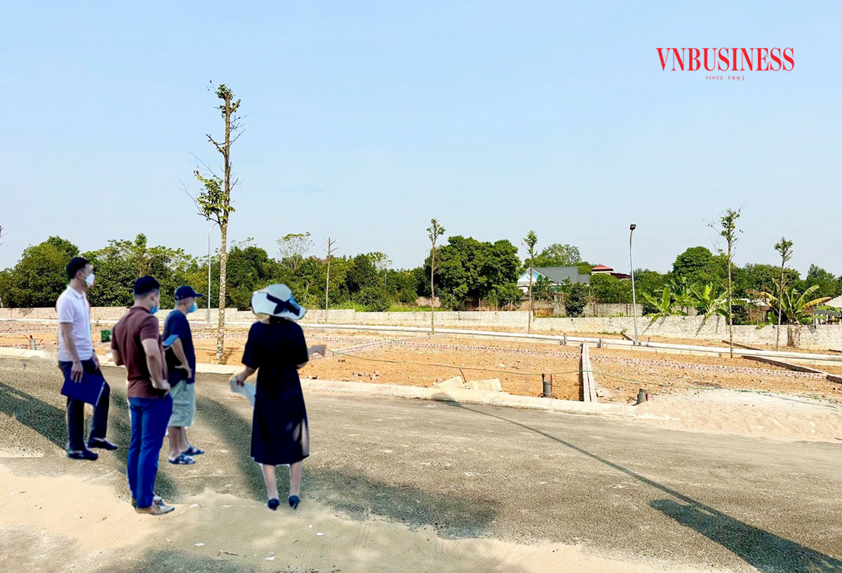 Đất cắt lỗ đang được rao bán tràn lan, nhà đầu tư cần cẩn trọng để không mua phải đất lùa gà.