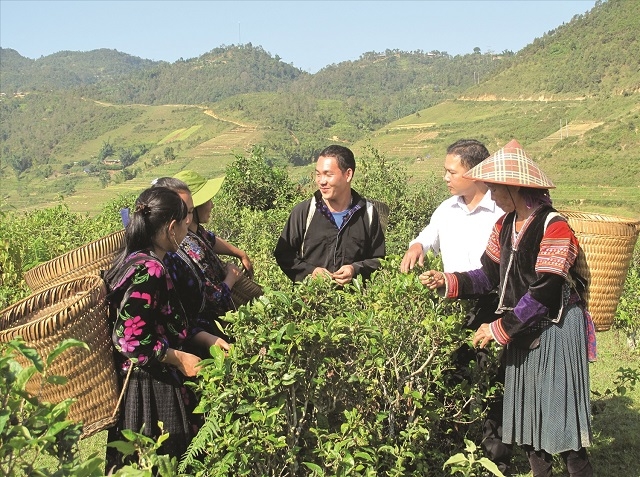 Cùng với phát triển kinh tế, hàng loạt chính sách giảm nghèo được triển khai đồng bộ ở tất cả các cấp.