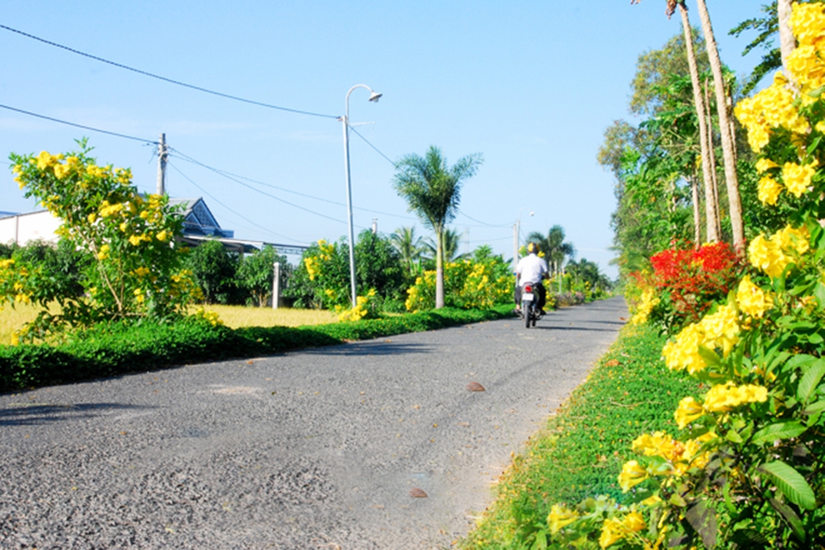 Nông thôn mới huyện Long Phú ngày càng khởi sắc (Ảnh: BST).