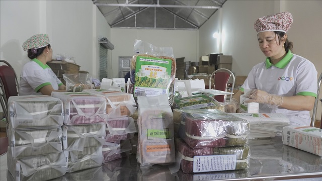 Các HTX ở Lục Ngạn đã làm cho diện mạo nông thôn ngày càng thay da đổi thịt.