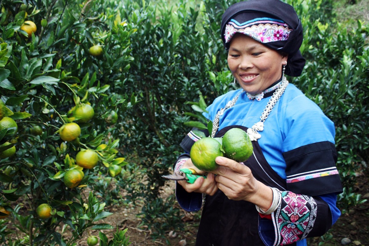 Cần thêm nhiều chính sách hỗ trợ để người dân tộc thiểu số tự tin vươn lên thoát nghèo, làm giàu &lpar;Ảnh: TL&rpar;.