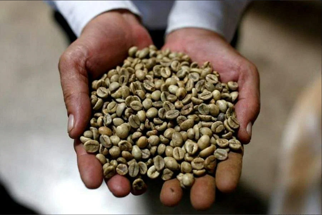 Tỷ lệ giá trị nông sản chế biến trong tổng giá trị sản xuất và chế biến nông lâm thủy sản ở mức trên 50%.