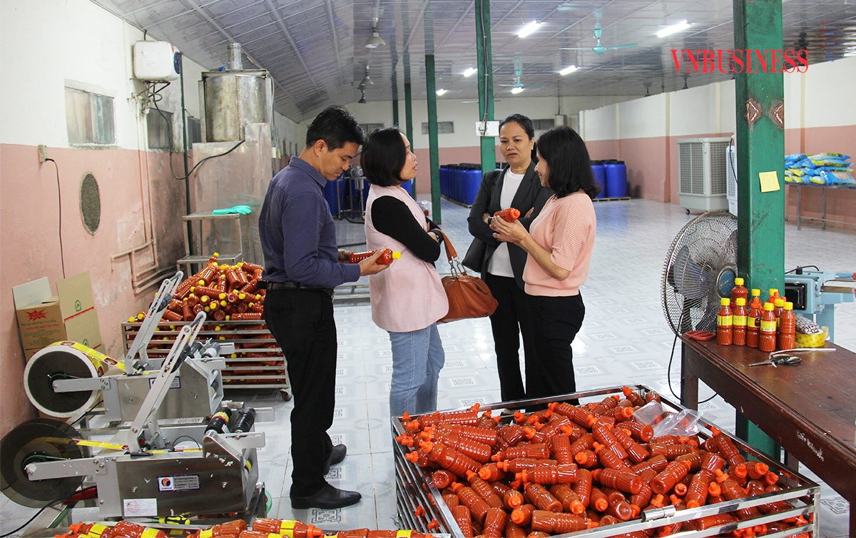 Liên kết sản xuất giúp người dân tộc thiểu số ở Lào Cai nâng cao hiệu quả kinh tế.