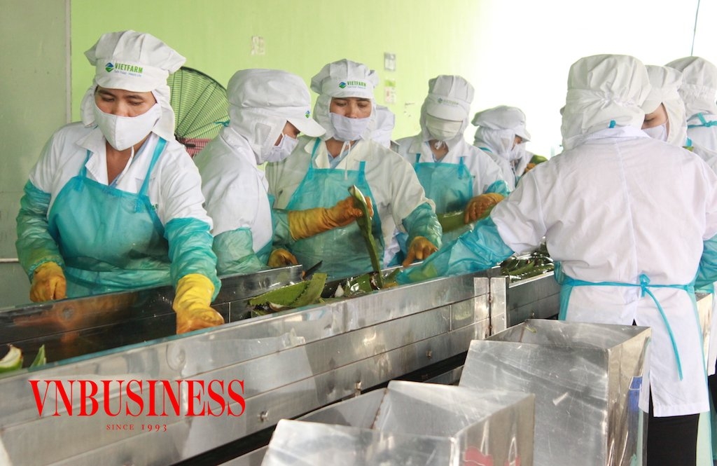 Để cải thiện tỷ trọng XK cho khối nội đang cần tính đột phá từ khâu chính sách nhằm tạo “sân chơi” bình đẳng, loại bỏ hạn chế cạnh tranh.