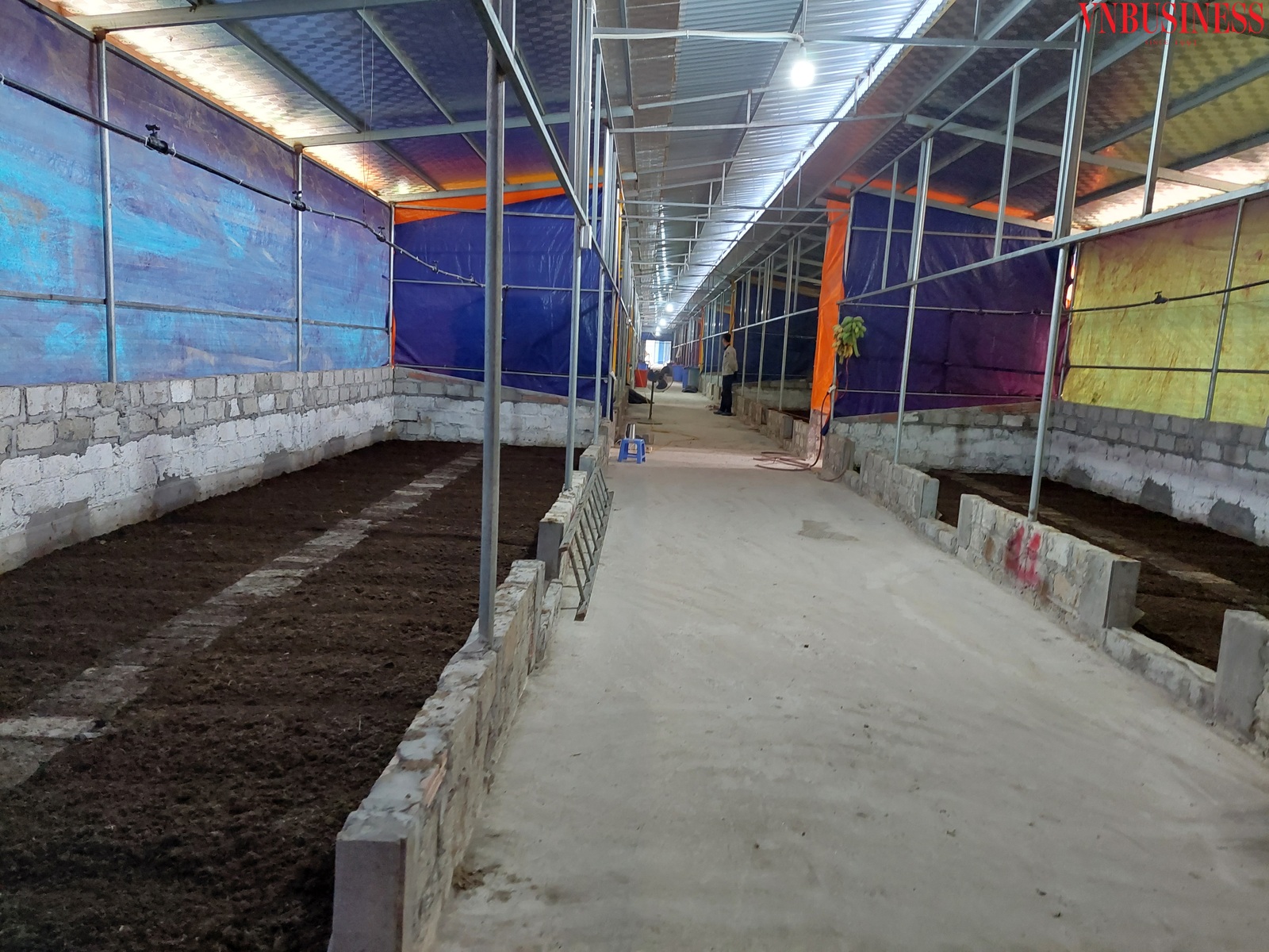 Khu vực nuôi trùn quế luôn đảm bảo đủ độ ẩm, không bí và ít ánh sáng.