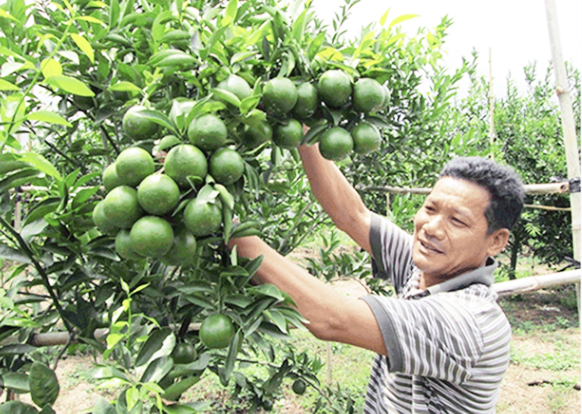 Nông dân Bà Rịa - Vũng Tàu đang đẩy mạnh ứng dụng công nghệ cao, tăng hiệu quả sản xuất (Ảnh: BBR-VT).
