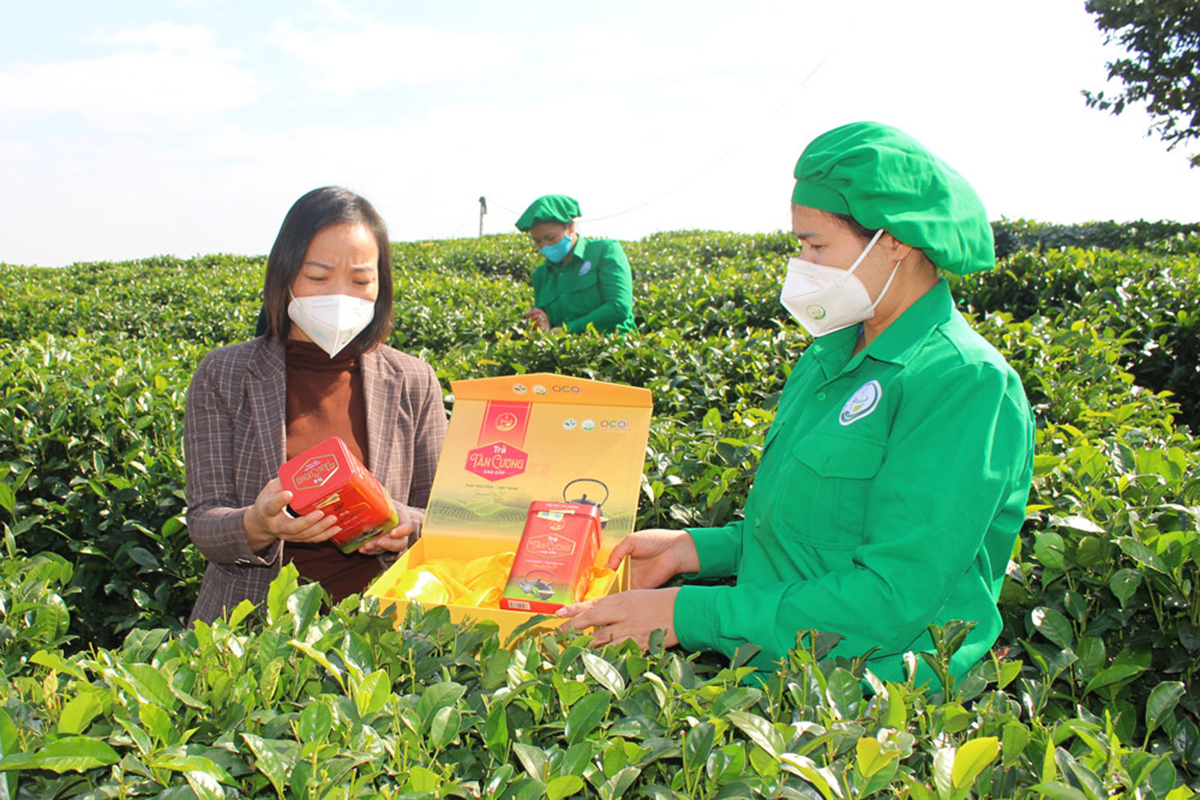 Sản xuất nông nghiệp kết hợp du lịch là xu hướng hợp thời, mang lại lợi ích kép về kinh tế, môi trường (Ảnh: BTN).