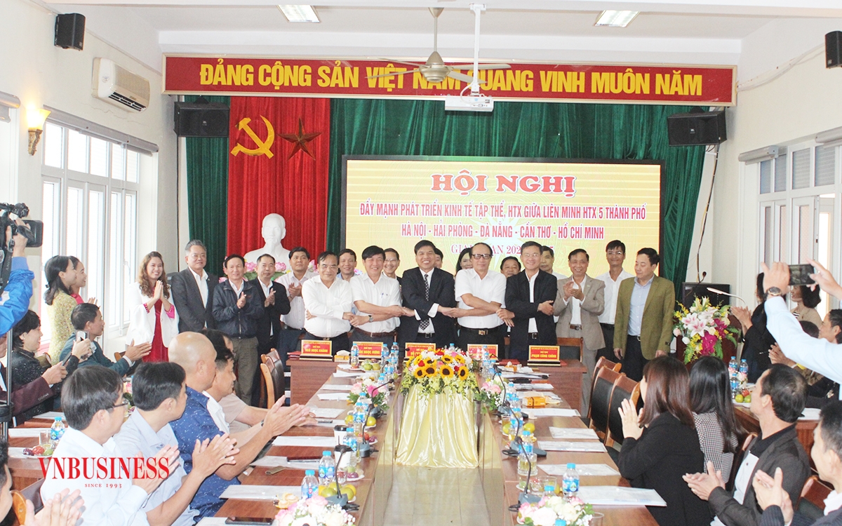 Khối 5 thành phố trực thuộc trung ương ký chương trình liên kết thúc đẩy khu vực kinh tế hợp tác, HTX.