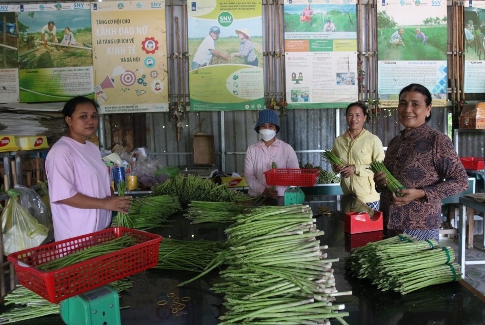 HTX dịch vụ nông nghiệp tổng hợp Châu Rế sơ chế măng tây.