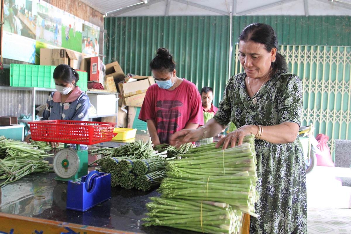 HTX Châu Rế giúp cho nhiều bà con dân tộc Chăm có cuộc sống ấm no.