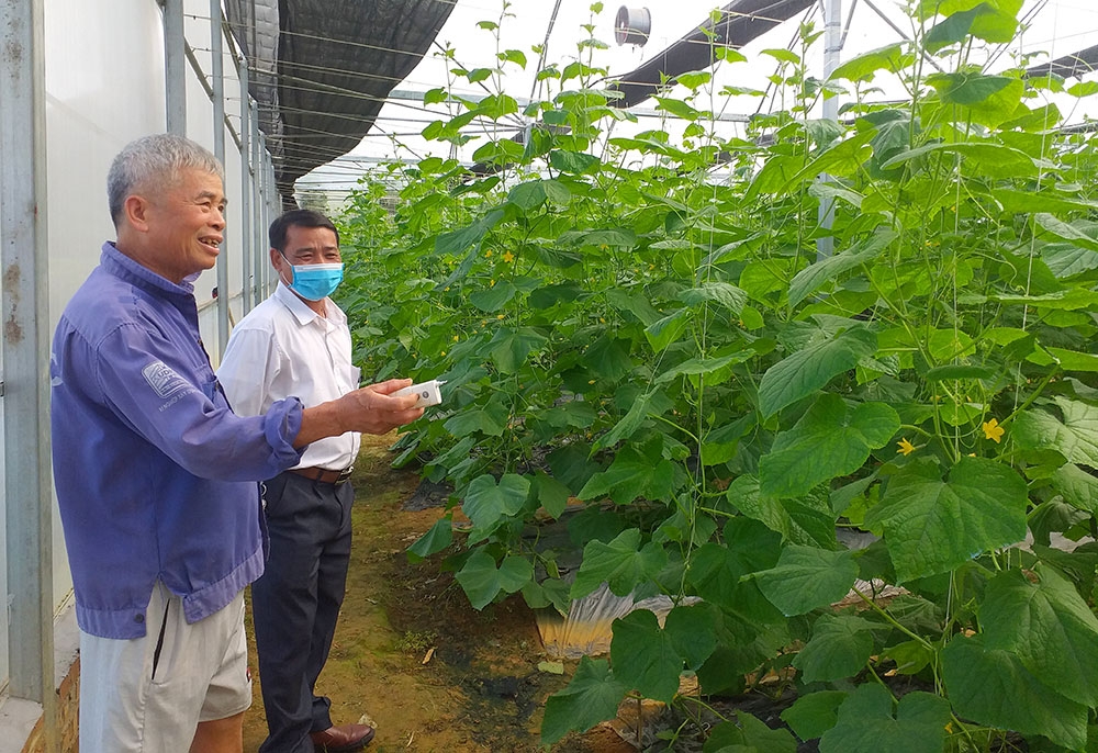 Tính pháp lý về quyền tài sản cần được hoàn thiện để tạo điều kiện cho người dân, HTX phát huy sức sáng tạo trong sản xuất kinh doanh.