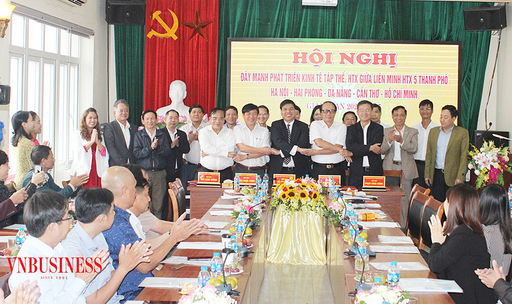 Hội đồng quản trị có chức năng rất quan trọng trong xây dựng tổ chức, hoạch định chiến lược kinh doanh và lộ trình phát triển của HTX.