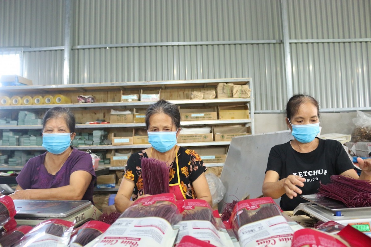 HTX nông nghiệp ở Cao Bằng đang là “hạt nhân” quan trọng trong công tác xóa đói giảm nghèo ở địa phương.