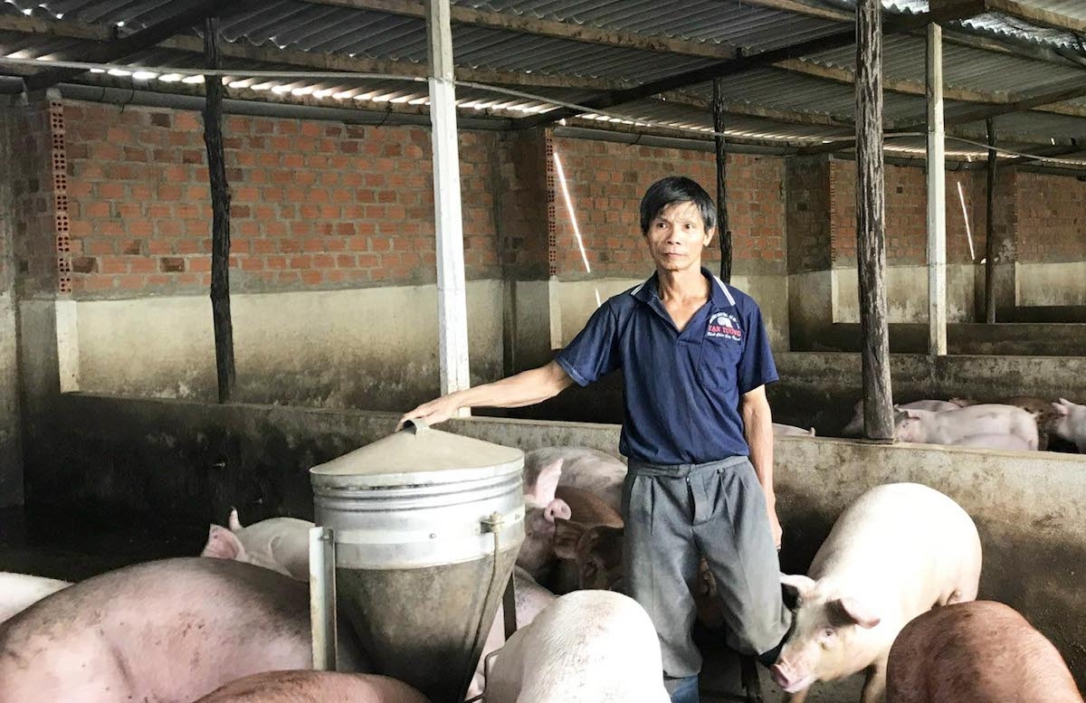 Người chăn nuôi lo ngại thị phần của ngành chăn nuôi bị rơi vào tay DN FDI