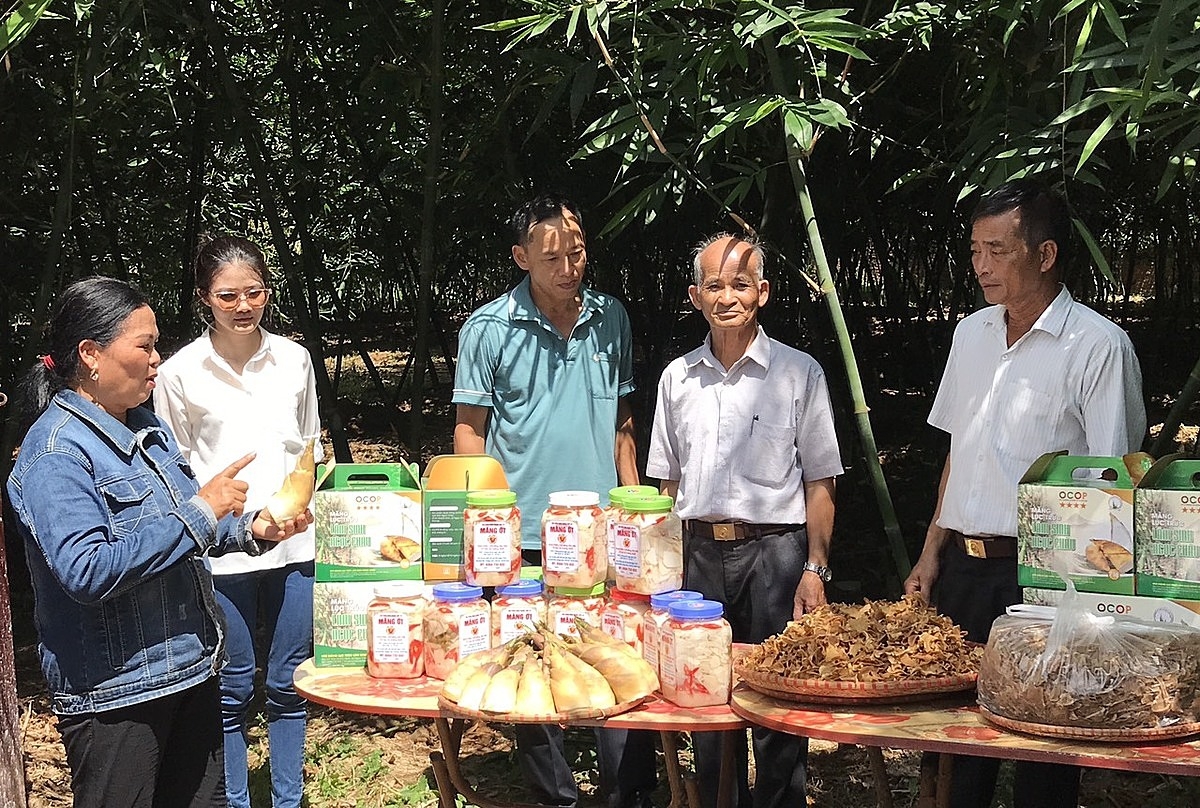Bà Dương Thị Luyện (đầu tiên bên trái), Giám đốc HTX Măng Lục trúc Lâm Sinh Ngọc Châu đang giới thiệu với khách hàng các sản phẩm chế biến từ măng của HTX.