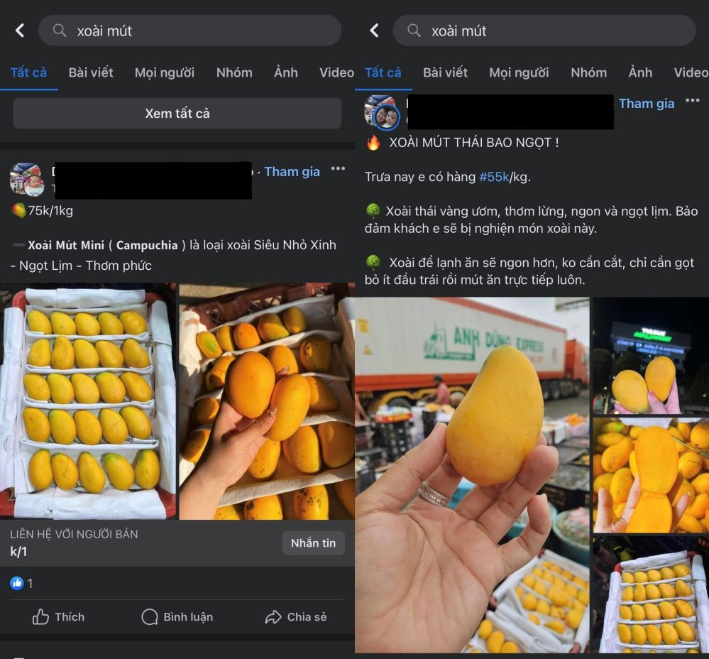 Rao bán xoài mút “gắn mác” Thái Lan và Campuchia trên chợ mạng.