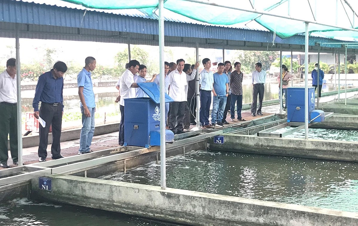 Chủ động trong sản xuất kinh doanh cũng là một trong những điểm mạnh giúp HTX Xuyên Việt thu hút được các nguồn vốn đầu tư, nhất là từ các doanh nghiệp.