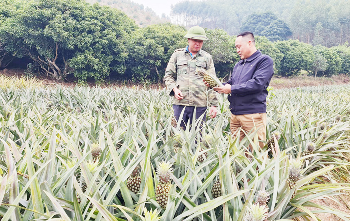 Sự chủ động trong ứng dụng công nghệ sẽ giúp các HTX tận dụng phụ phẩm, tạo ra các sản phẩm giá trị cao.