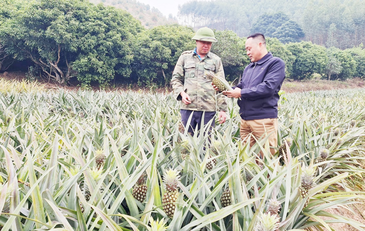 Sự chủ động trong ứng dụng công nghệ sẽ giúp các HTX tận dụng phụ phẩm, tạo ra các sản phẩm giá trị cao.