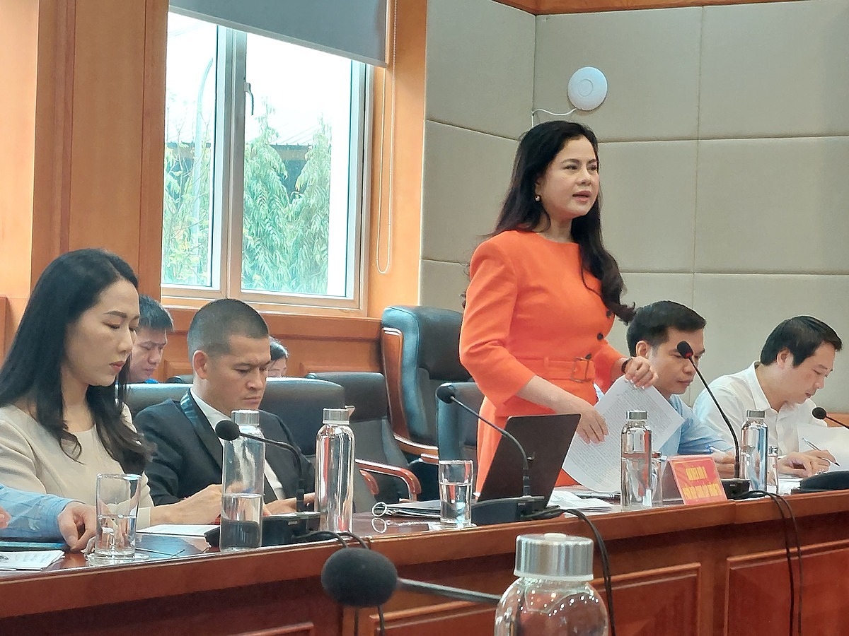 Phó giám đốc Sở Văn hóa và Thể thao TP Hải Phòng cung cấp thông tin tại Hội nghị.