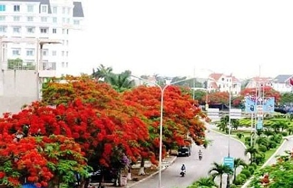 Tháng 5 rợp trời hoa phượng đỏ.