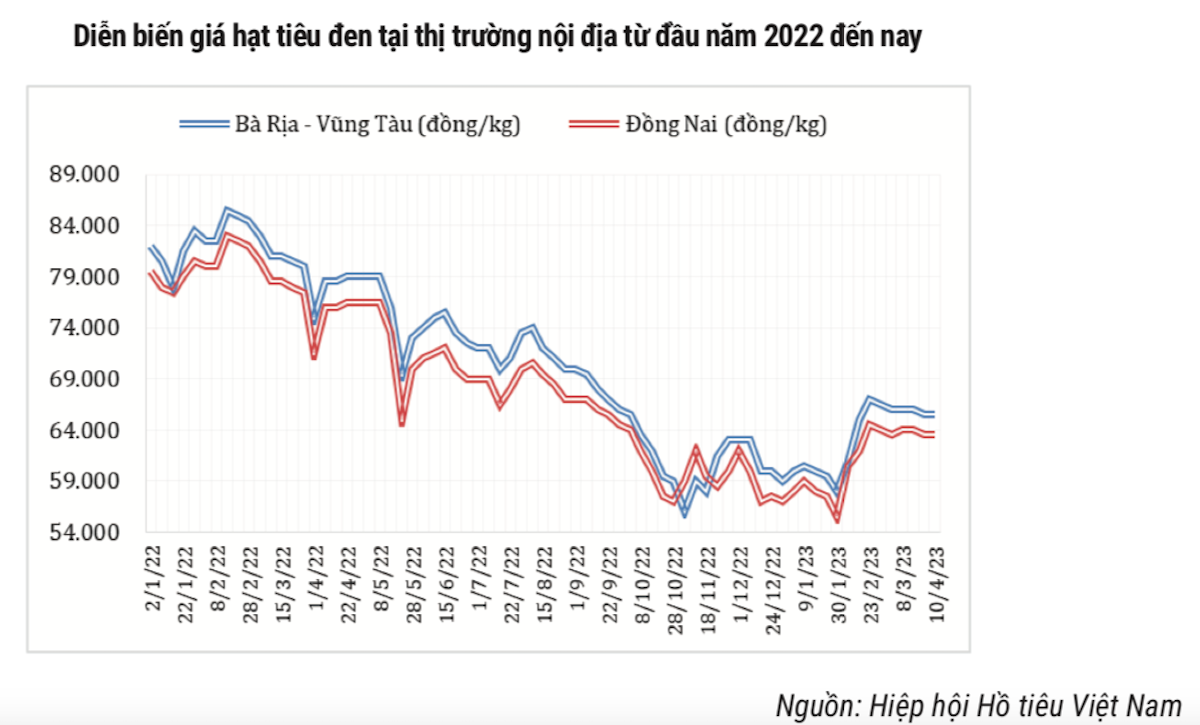 Diễn biến giá hạt tiêu đen tại thị trường nội địa từ đầu năm 2022 đến nay.