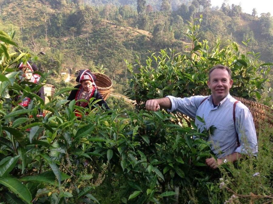 HTX chế biến chè Phìn Hồ đã từng bước đưa chè Shan tuyết đến với nhiều khách hàng trong và ngoài nước.