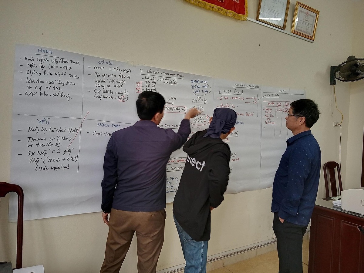 Trước sự biến đổi của thị trường, đã có những HTX tích cực xây dựng kế hoạch kinh doanh để nâng cao hiệu quả hoạt động.