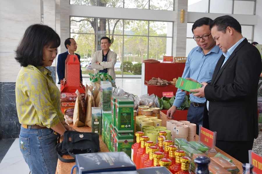 Thương hiệu Việt vẫn quanh quẩn ở sân nhà, chưa vươn ra thị trường toàn cầu (Ảnh minh họa).