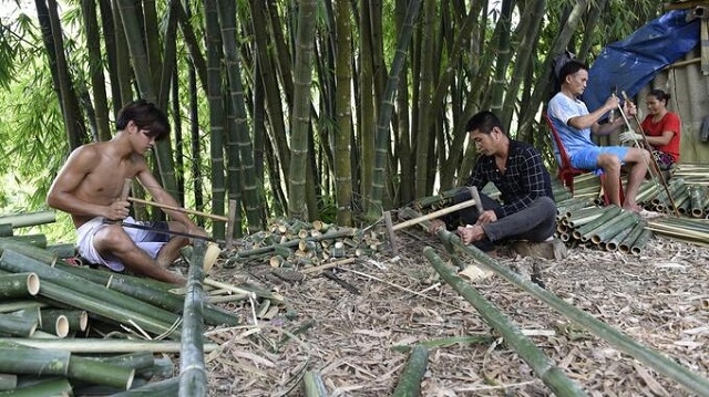 Các HTX là người bạn đồng hành trong công cuộc xóa nghèo của nhân dân các dân tộc vùng cao tỉnh Thanh Hóa.