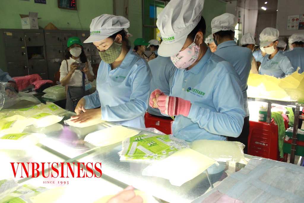 Đầu tư vào “sản xuất xanh” và phát triển “thương hiệu xanh” được kỳ vọng sẽ giúp các DN Việt kéo đơn hàng XK nhiều hơn.