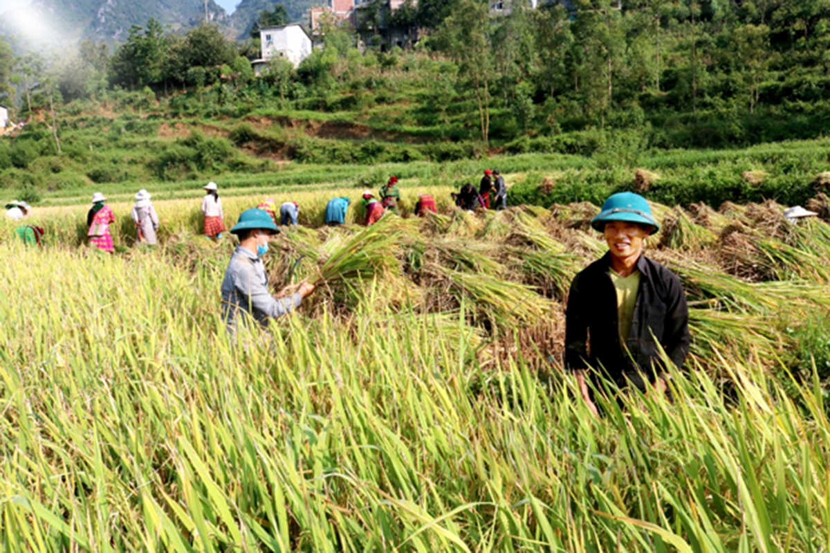 Đồng Văn đang chủ động nâng tầm HTX, giúp người dân giảm nghèo, làm giàu bền vững.
