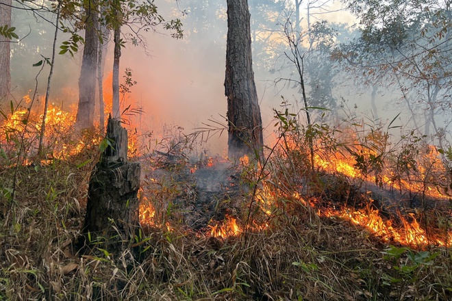 Lửa cháy đỏ rực bên trong rừng thông Đà Lạt hồi tháng đầu tháng 4/2023.
