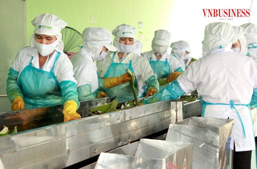 Các DN XK nông lâm thủy sản cần phát huy lợi thế chế biến sâu sản phẩm giá trị gia tăng cho phân khúc thị trường cao cấp.