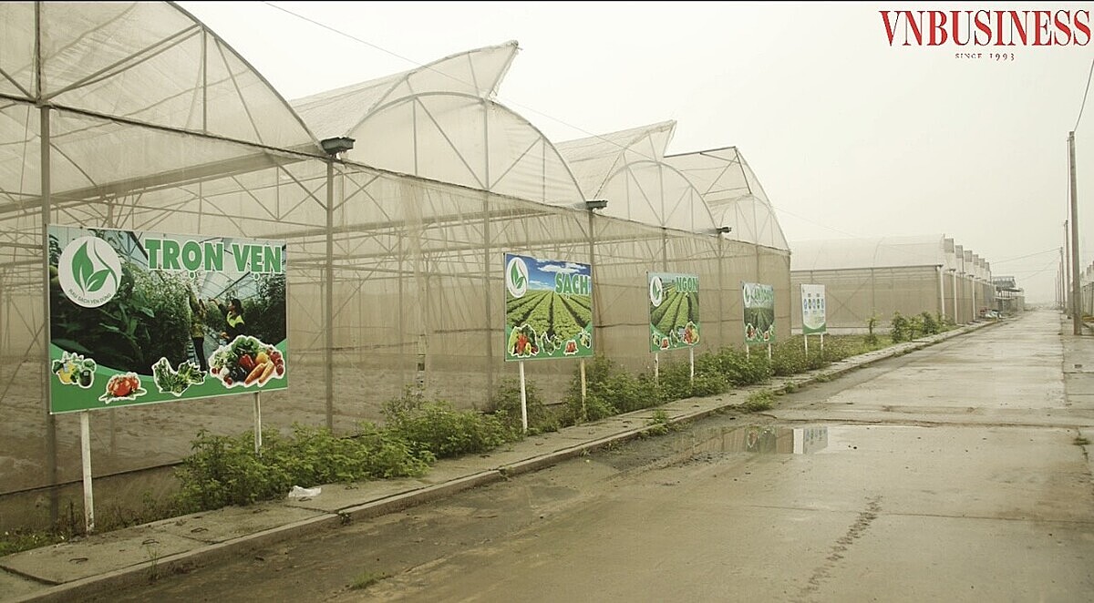HTX xây dựng được hơn 35.000m2 nhà lưới công nghệ cao, ứng dụng công nghệ linh hoạt trong sản xuất.