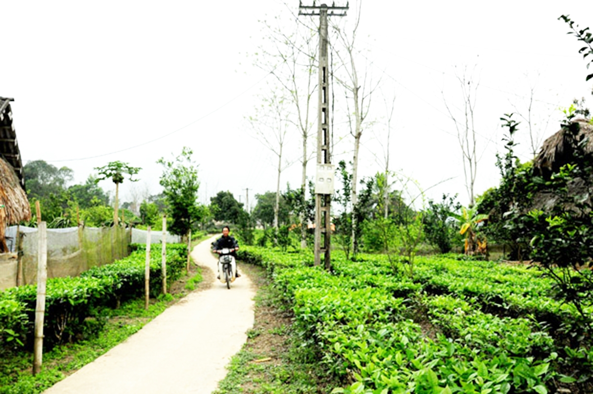 Tiên Kiều đang là điểm sáng trong xây dựng nông thôn mới ở Hà Giang